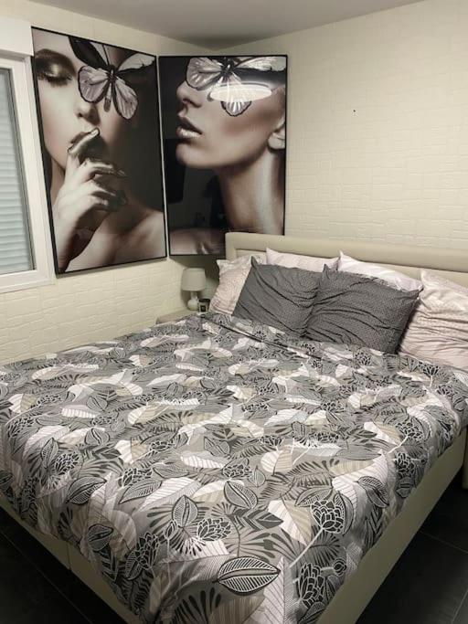 Au Petit Bonheur Imprevu Apartment Douai Luaran gambar